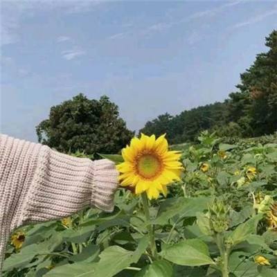 热血屠仙3456玩版本下载