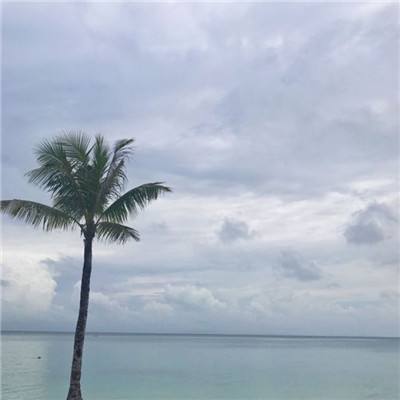 逍遥春秋ol果盘最新版下载
